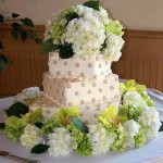 edible-Flowers