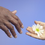 charity-1