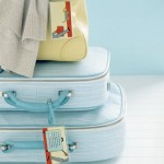 luggage
